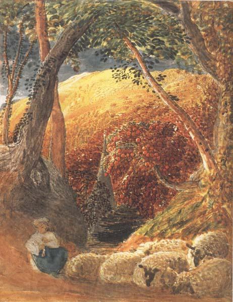 Samuel Palmer The Magic Apple Tree Spain oil painting art